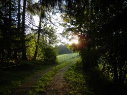 Naturmedizin ohne Nebenwirkung